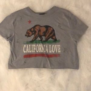 california bear short with small holes